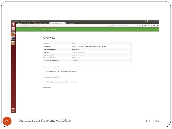 81 Big Image Data Processing on Hadoop 12/18/2021 