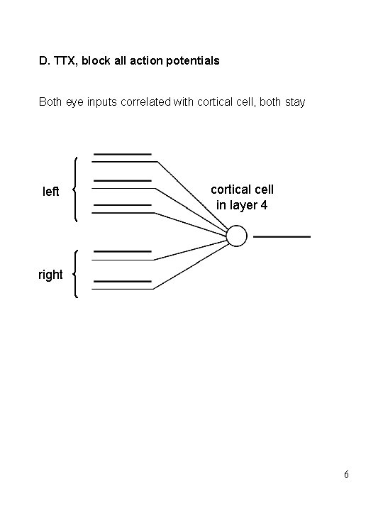 D. TTX, block all action potentials Both eye inputs correlated with cortical cell, both