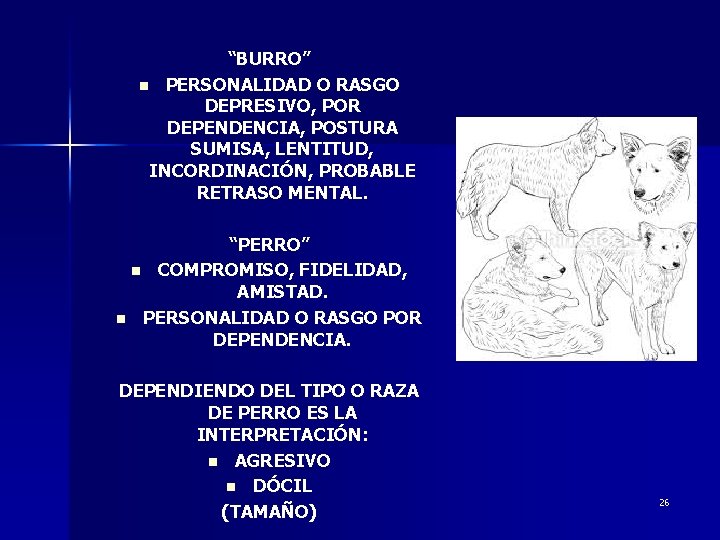 “BURRO” n PERSONALIDAD O RASGO DEPRESIVO, POR DEPENDENCIA, POSTURA SUMISA, LENTITUD, INCORDINACIÓN, PROBABLE RETRASO