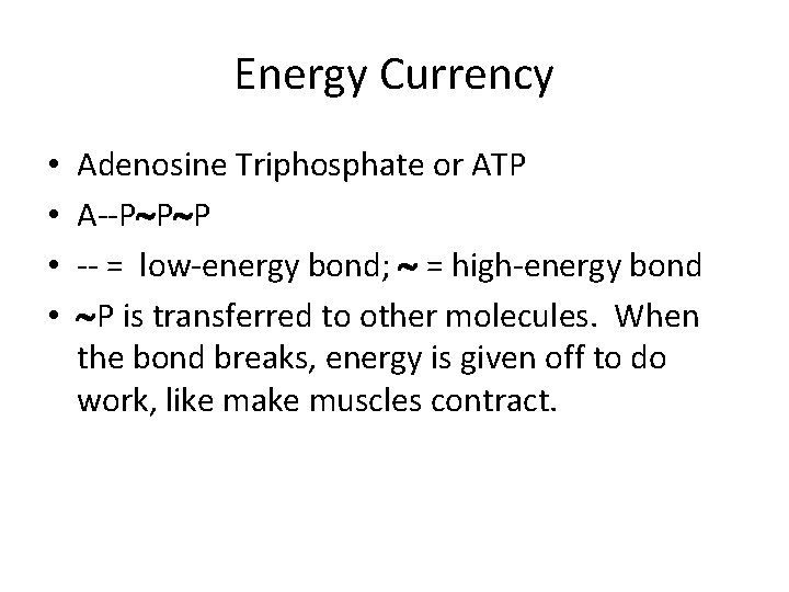 Energy Currency • • Adenosine Triphosphate or ATP A--P P P -- = low-energy