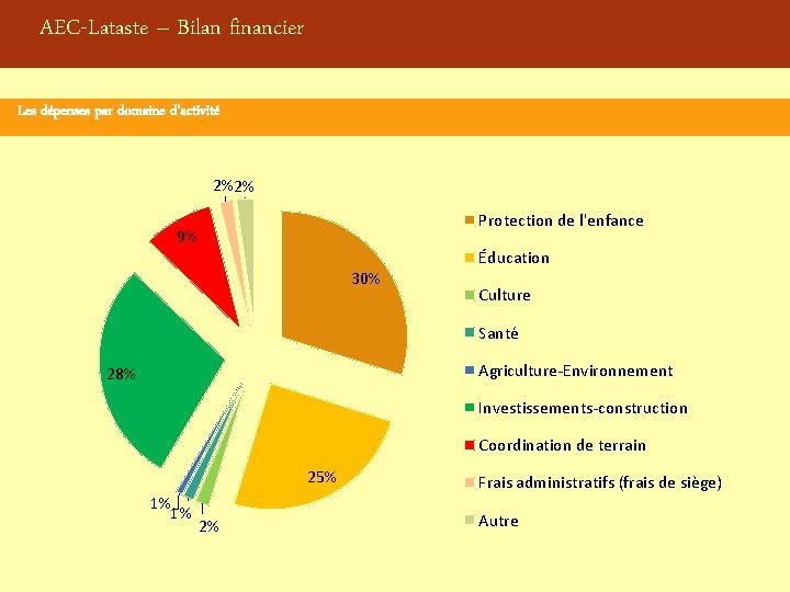 AEC-Lataste – Bilan financier Les dépenses par domaine d’activité 2%2% Protection de l'enfance 9%