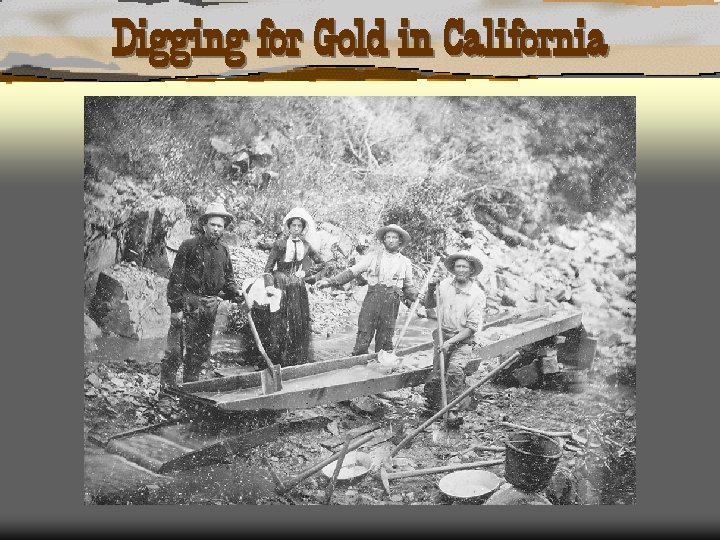 Digging for Gold in California 