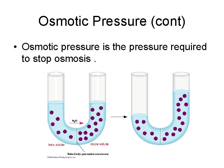 Osmotic Pressure (cont) • Osmotic pressure is the pressure required to stop osmosis. 