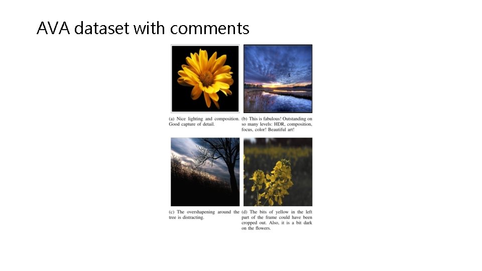 AVA dataset with comments 