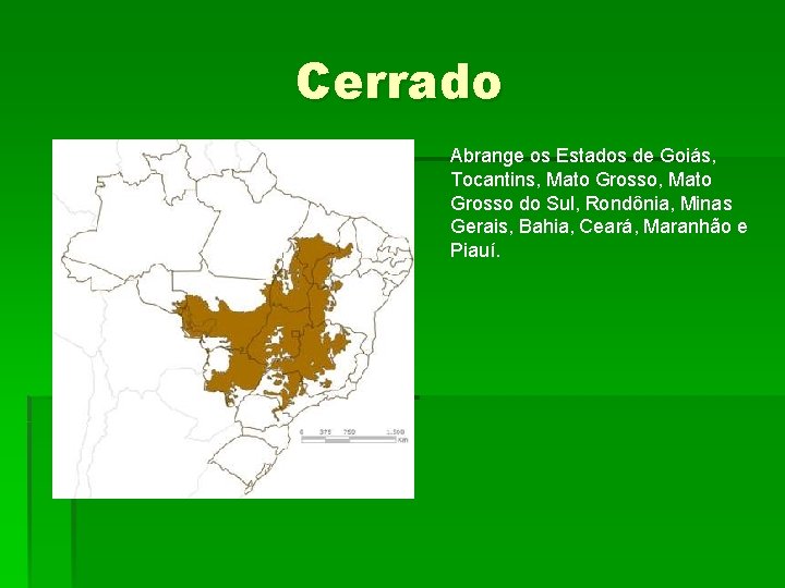 Cerrado Abrange os Estados de Goiás, Tocantins, Mato Grosso do Sul, Rondônia, Minas Gerais,