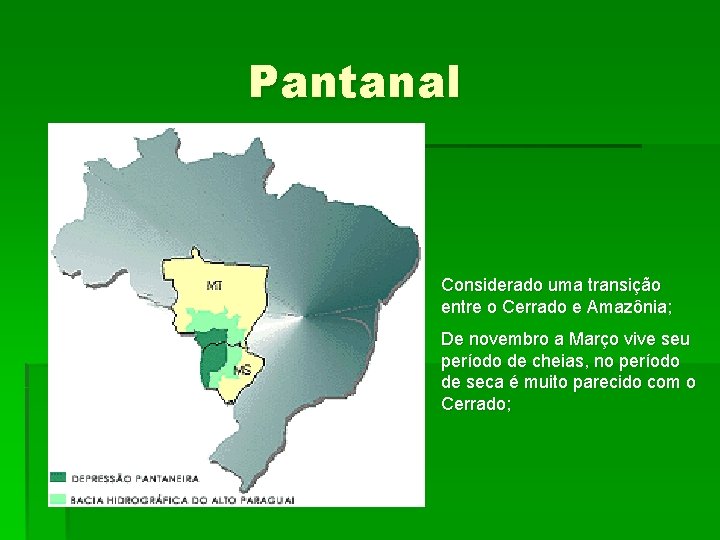 Pantanal Considerado uma transição entre o Cerrado e Amazônia; De novembro a Março vive