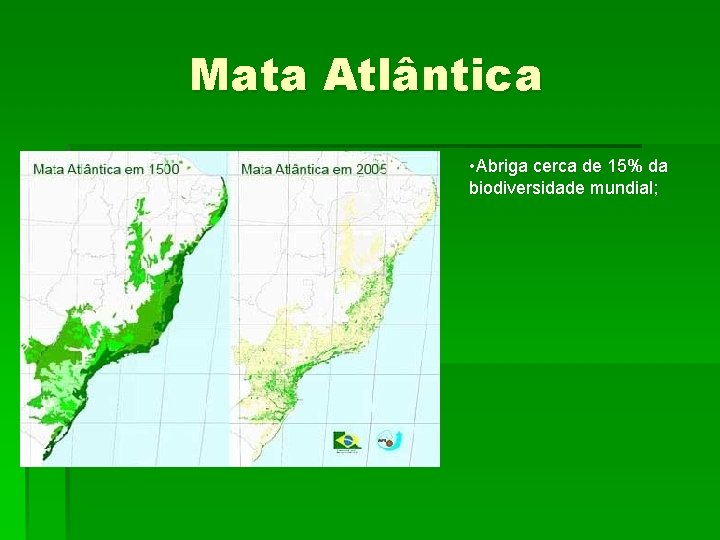 Mata Atlântica • Abriga cerca de 15% da biodiversidade mundial; 