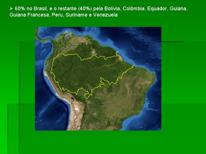 Ø 60% no Brasil, e o restante (40%) pela Bolívia, Colômbia, Equador, Guiana Francesa,