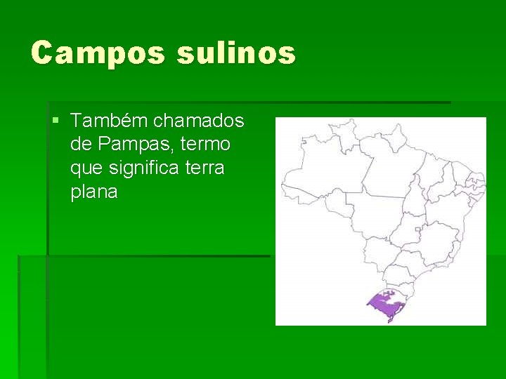 Campos sulinos § Também chamados de Pampas, termo que significa terra plana 