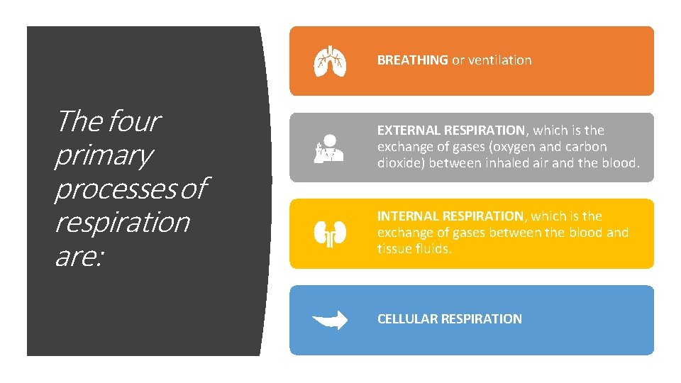 BREATHING or ventilation The four primary processes of respiration are: EXTERNAL RESPIRATION, which is