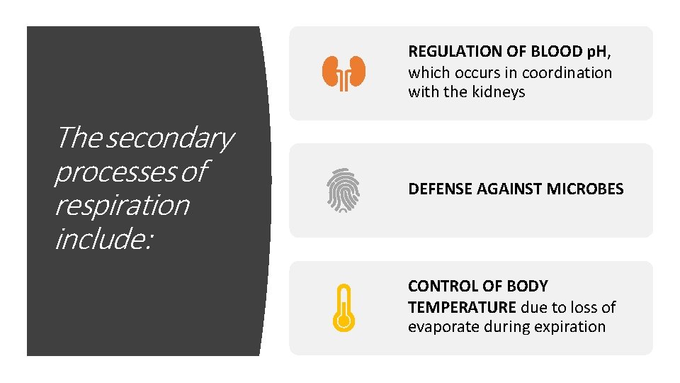 REGULATION OF BLOOD p. H, which occurs in coordination with the kidneys The secondary