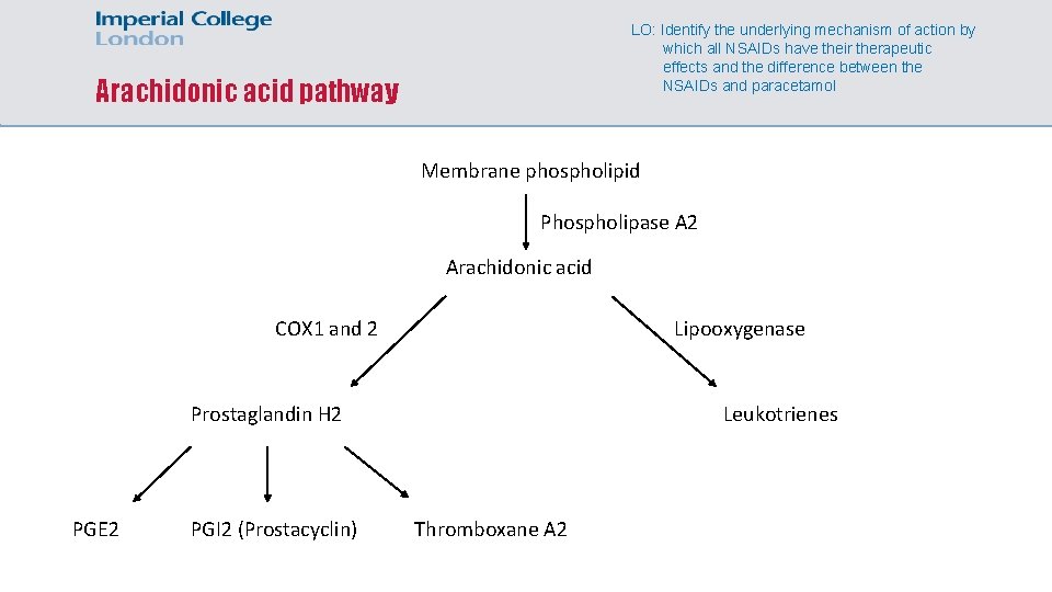 LO: Identify the underlying mechanism of action by which all NSAIDs have their therapeutic