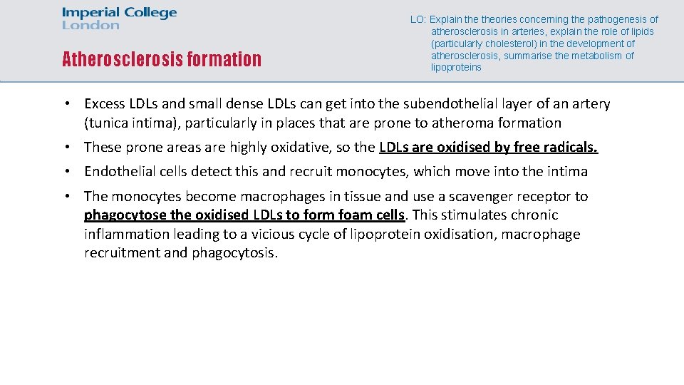 Atherosclerosis formation LO: Explain theories concerning the pathogenesis of atherosclerosis in arteries, explain the
