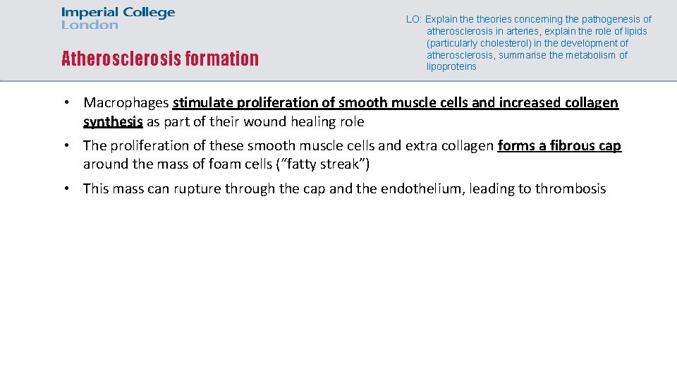 Atherosclerosis formation LO: Explain theories concerning the pathogenesis of atherosclerosis in arteries, explain the