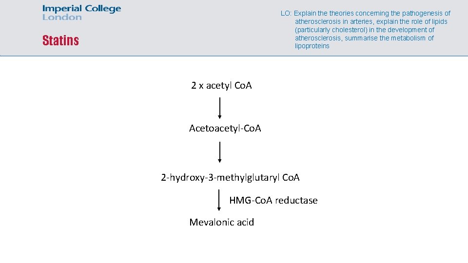 LO: Explain theories concerning the pathogenesis of atherosclerosis in arteries, explain the role of