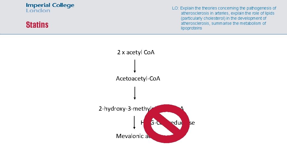 LO: Explain theories concerning the pathogenesis of atherosclerosis in arteries, explain the role of