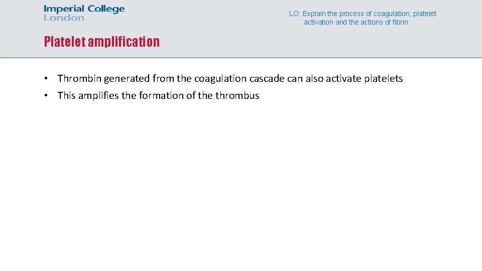 LO: Explain the process of coagulation, platelet activation and the actions of fibrin Platelet