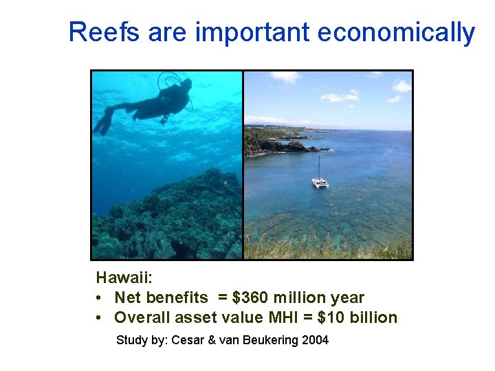 Reefs are important economically Hawaii: • Net benefits = $360 million year • Overall