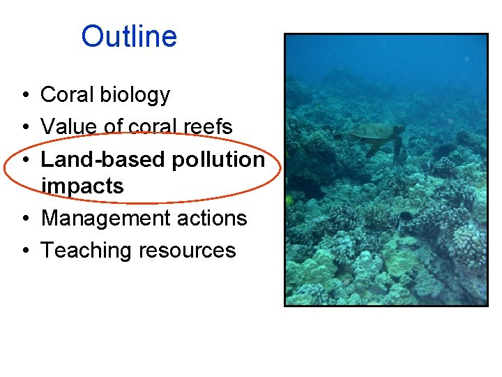 Outline • Coral biology • Value of coral reefs • Land-based pollution impacts •