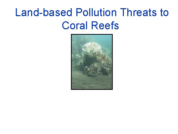 Land-based Pollution Threats to Coral Reefs 