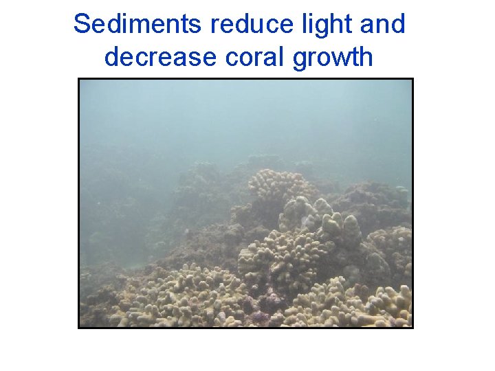Sediments reduce light and decrease coral growth 