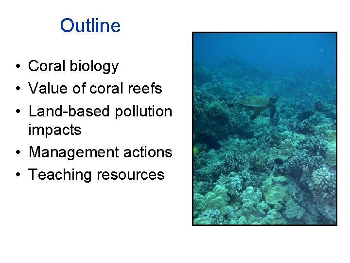 Outline • Coral biology • Value of coral reefs • Land-based pollution impacts •