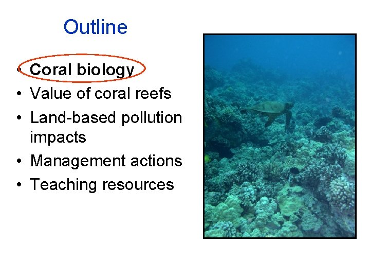 Outline • Coral biology • Value of coral reefs • Land-based pollution impacts •