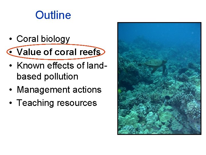 Outline • Coral biology • Value of coral reefs • Known effects of landbased