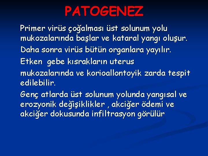 PATOGENEZ Primer virüs çoğalması üst solunum yolu mukozalarında başlar ve kataral yangı oluşur. Daha