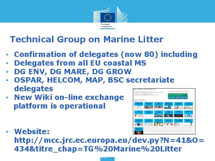 Technical Group on Marine Litter Confirmation of delegates (now 80) including Delegates from all