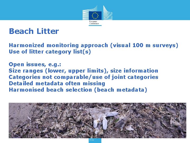 Beach Litter Harmonized monitoring approach (visual 100 m surveys) Use of litter category list(s)