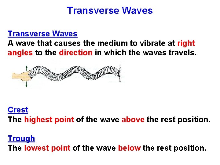 Transverse Waves A wave that causes the medium to vibrate at right angles to