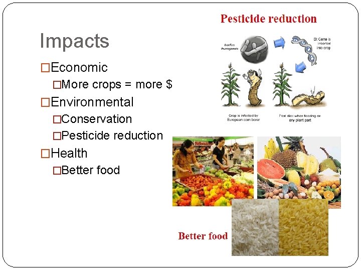 Impacts �Economic �More crops = more $ �Environmental �Conservation �Pesticide reduction �Health �Better food