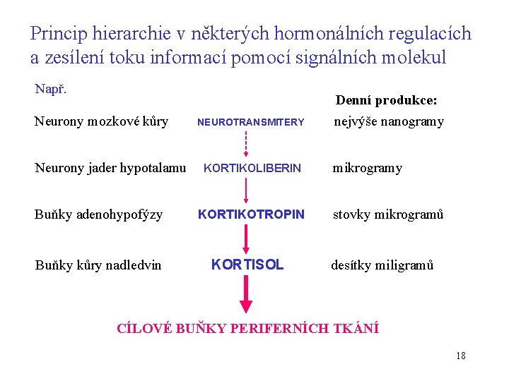 Princip hierarchie v některých hormonálních regulacích a zesílení toku informací pomocí signálních molekul Např.