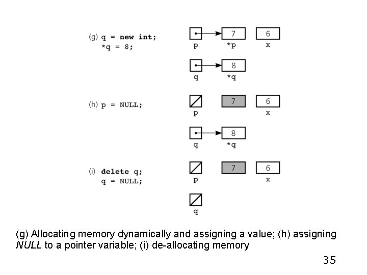 (g) Allocating memory dynamically and assigning a value; (h) assigning NULL to a pointer (g) Allocating memory dynamically and assigning a value; (h) assigning NULL to a pointer