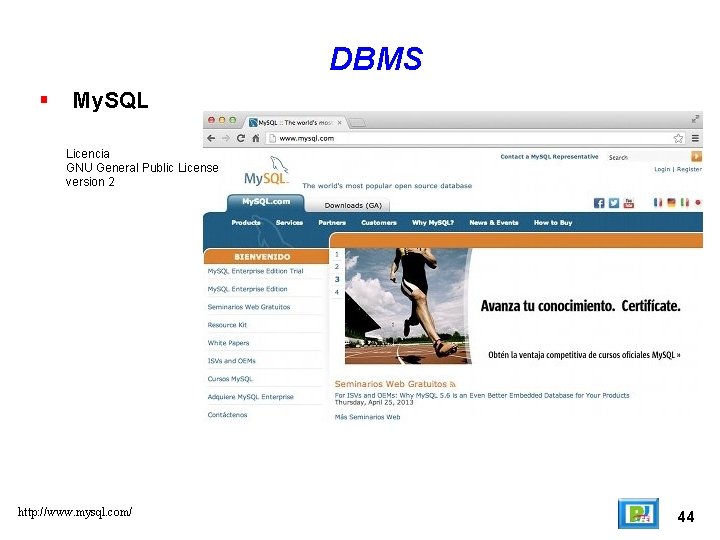 DBMS My. SQL Licencia GNU General Public License version 2 http: //www. mysql. com/