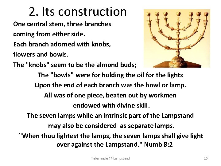 2. Its construction One central stem, three branches coming from either side. Each branch