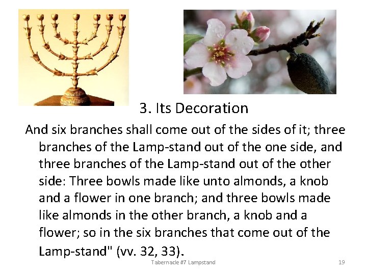 3. Its Decoration And six branches shall come out of the sides of it;