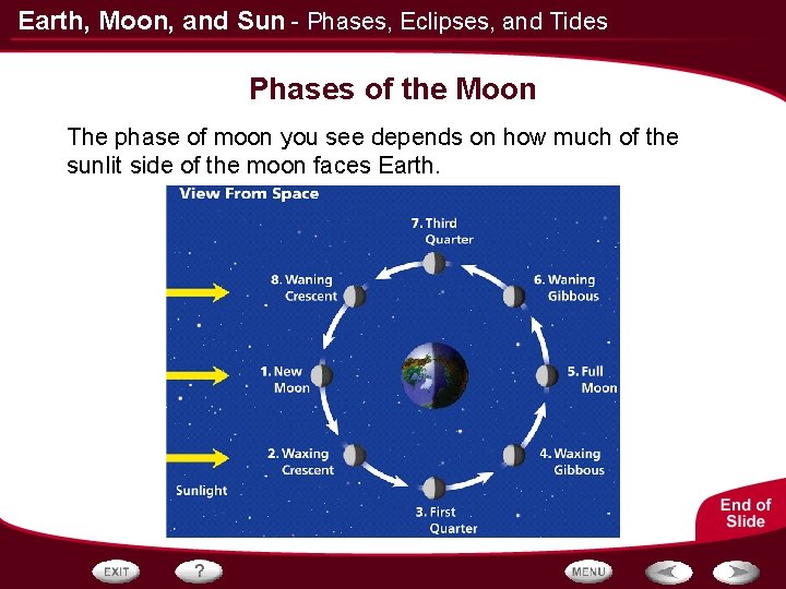 Earth, Moon, and Sun - Phases, Eclipses, and Tides Phases of the Moon The