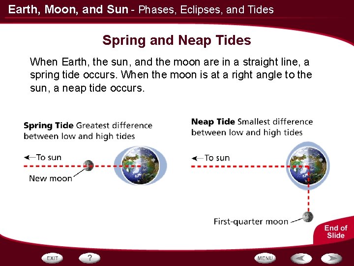 Earth, Moon, and Sun - Phases, Eclipses, and Tides Spring and Neap Tides When