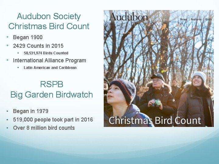 Audubon Society Christmas Bird Count • Began 1900 • 2429 Counts in 2015 •