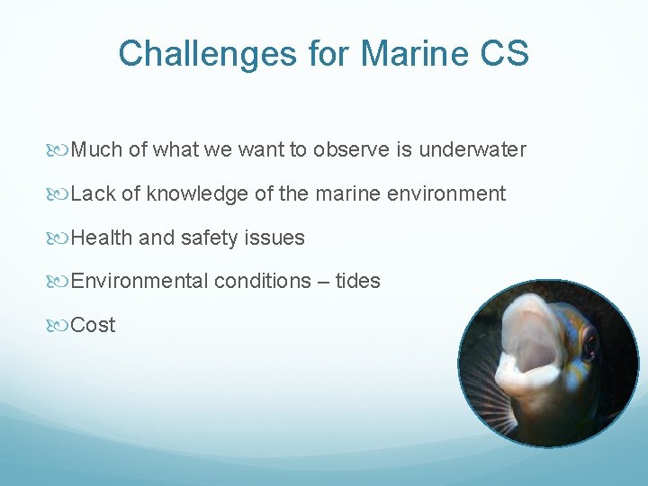 Challenges for Marine CS Much of what we want to observe is underwater Lack