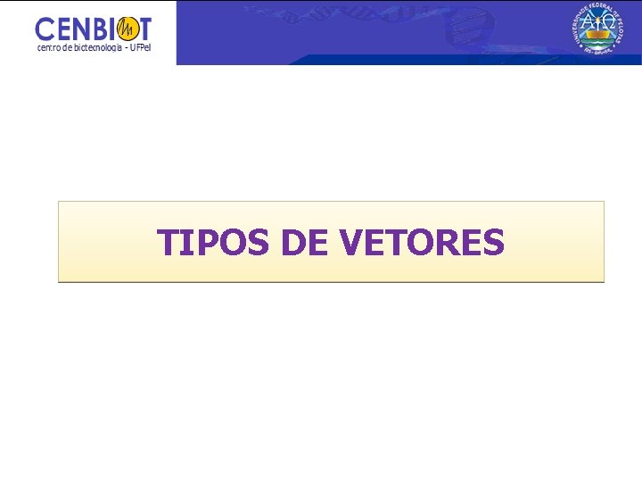 TIPOS DE VETORES 