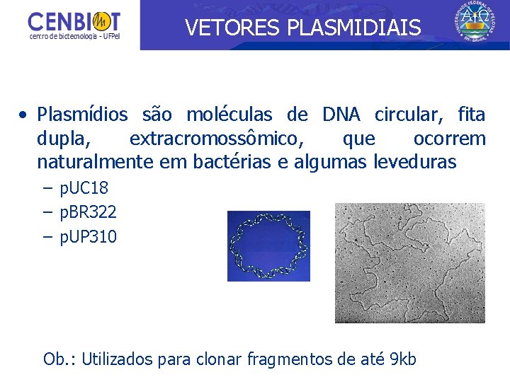 VETORES PLASMIDIAIS • Plasmídios são moléculas de DNA circular, fita dupla, extracromossômico, que ocorrem