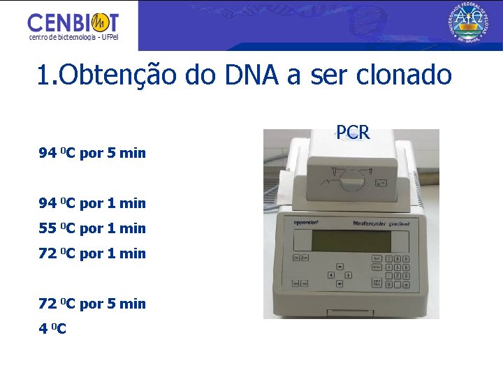 1. Obtenção do DNA a ser clonado PCR 94 0 C por 5 min