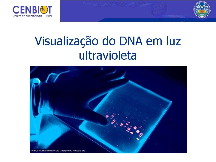 Visualização do DNA em luz ultravioleta 