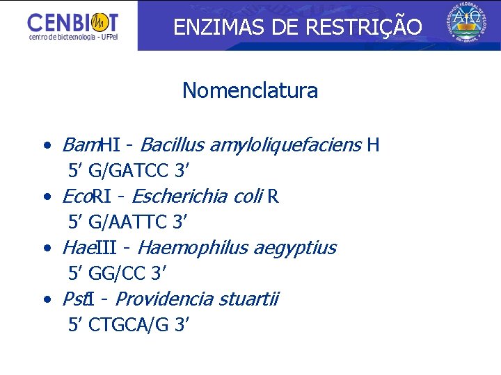 ENZIMAS DE RESTRIÇÃO Nomenclatura • Bam. HI - Bacillus amyloliquefaciens H 5’ G/GATCC 3’