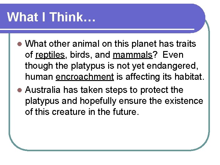 What I Think… What other animal on this planet has traits of reptiles, birds,