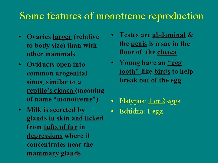 Some features of monotreme reproduction • Ovaries larger (relative to body size) than with