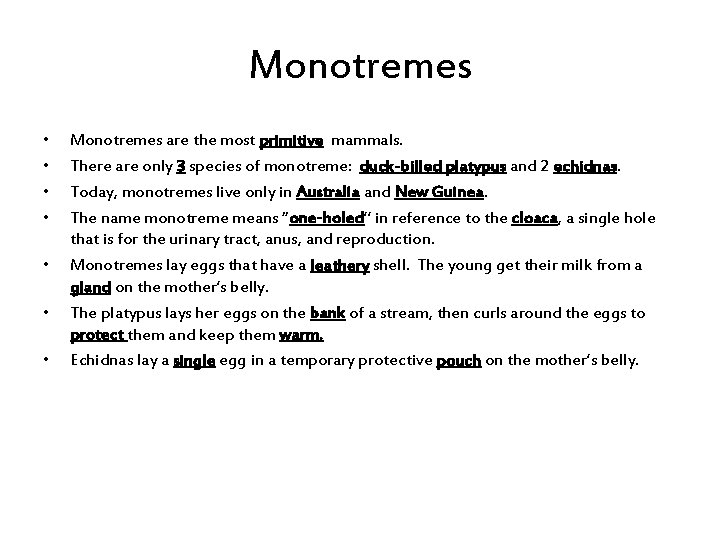 Monotremes • • Monotremes are the most primitive mammals. There are only 3 species